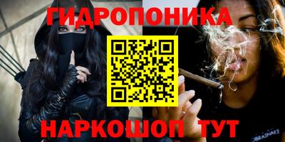круглые Тара
